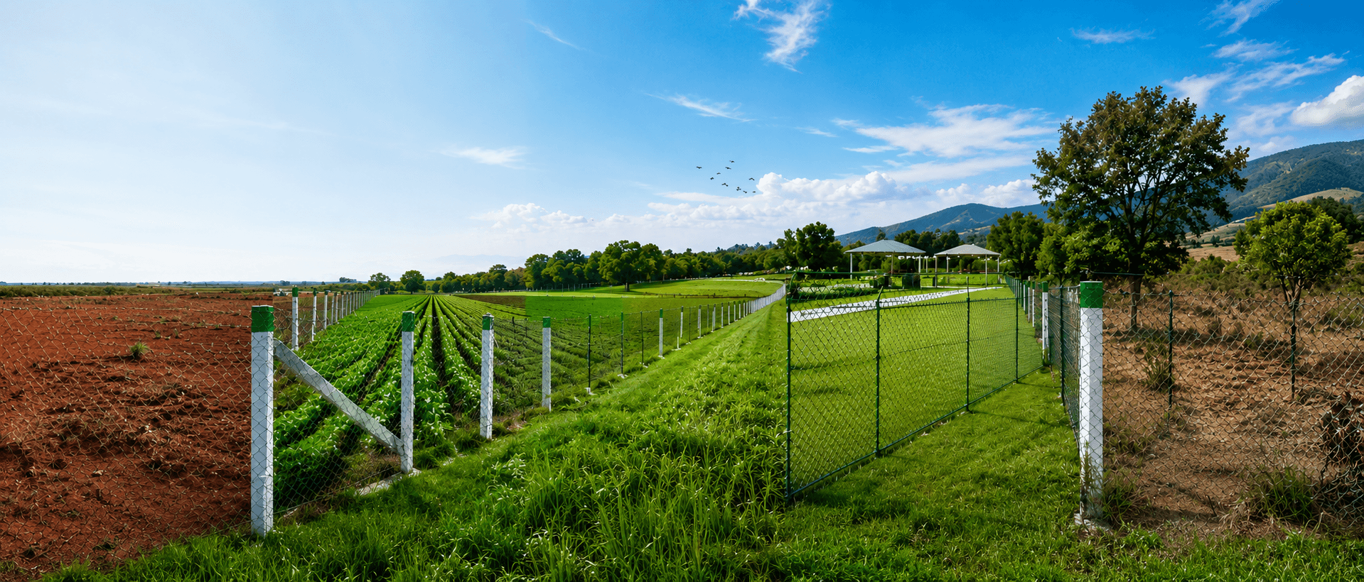 Fencing Contractors in Cuddalore
